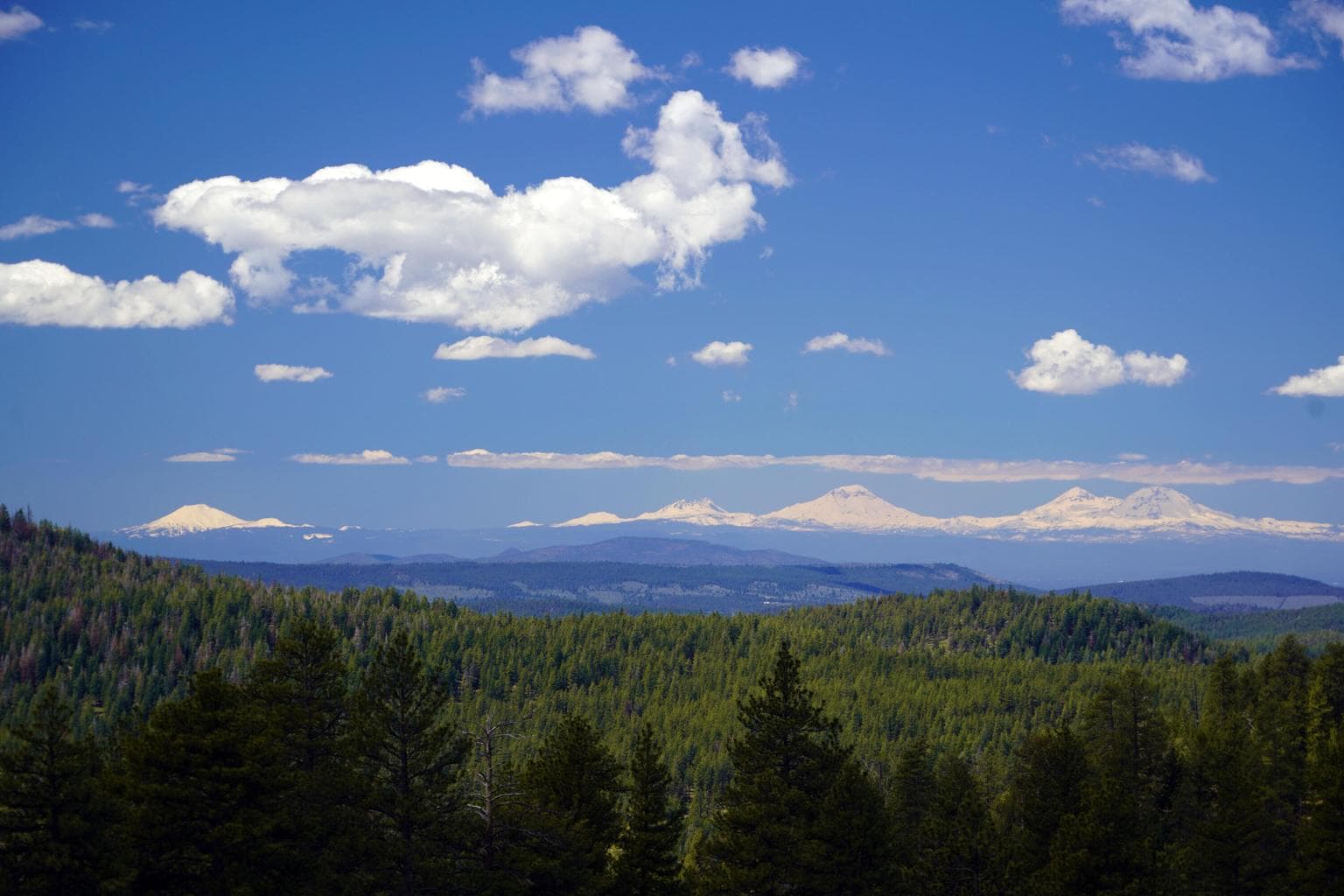 Photo of 27990 Old Wolf Creek Road 56 of 56