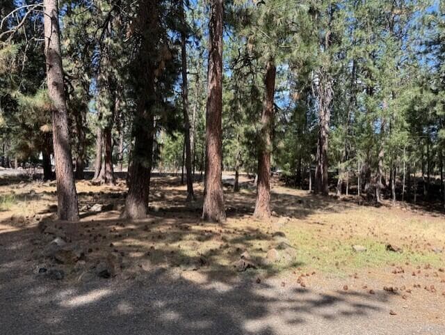 Photo of 18627 River Woods 4 of 15