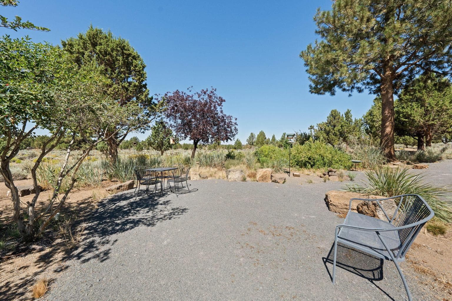 Get closer to the wildlife from this area
