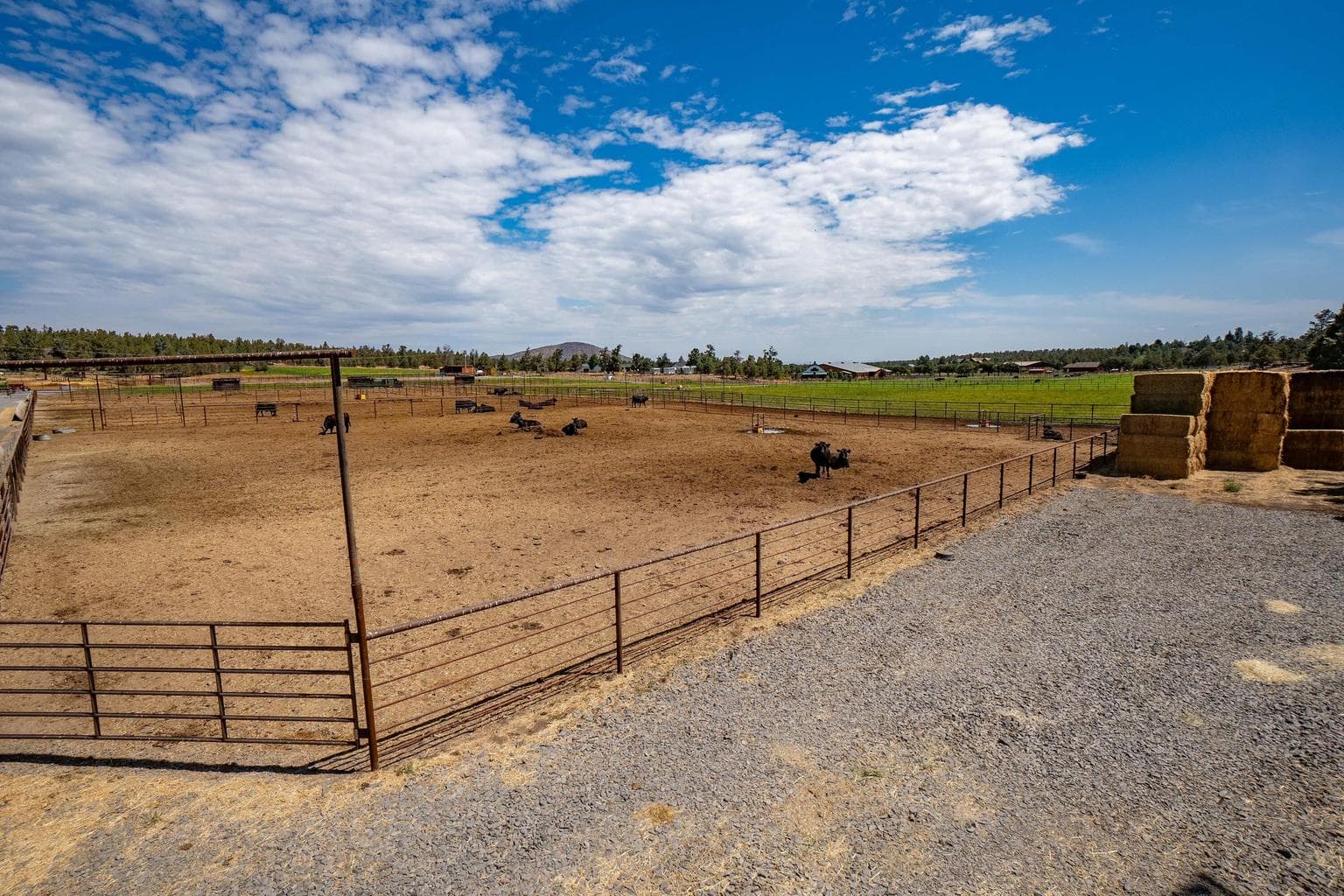 Photo of 66505 Gerking Market Road 62 of 62