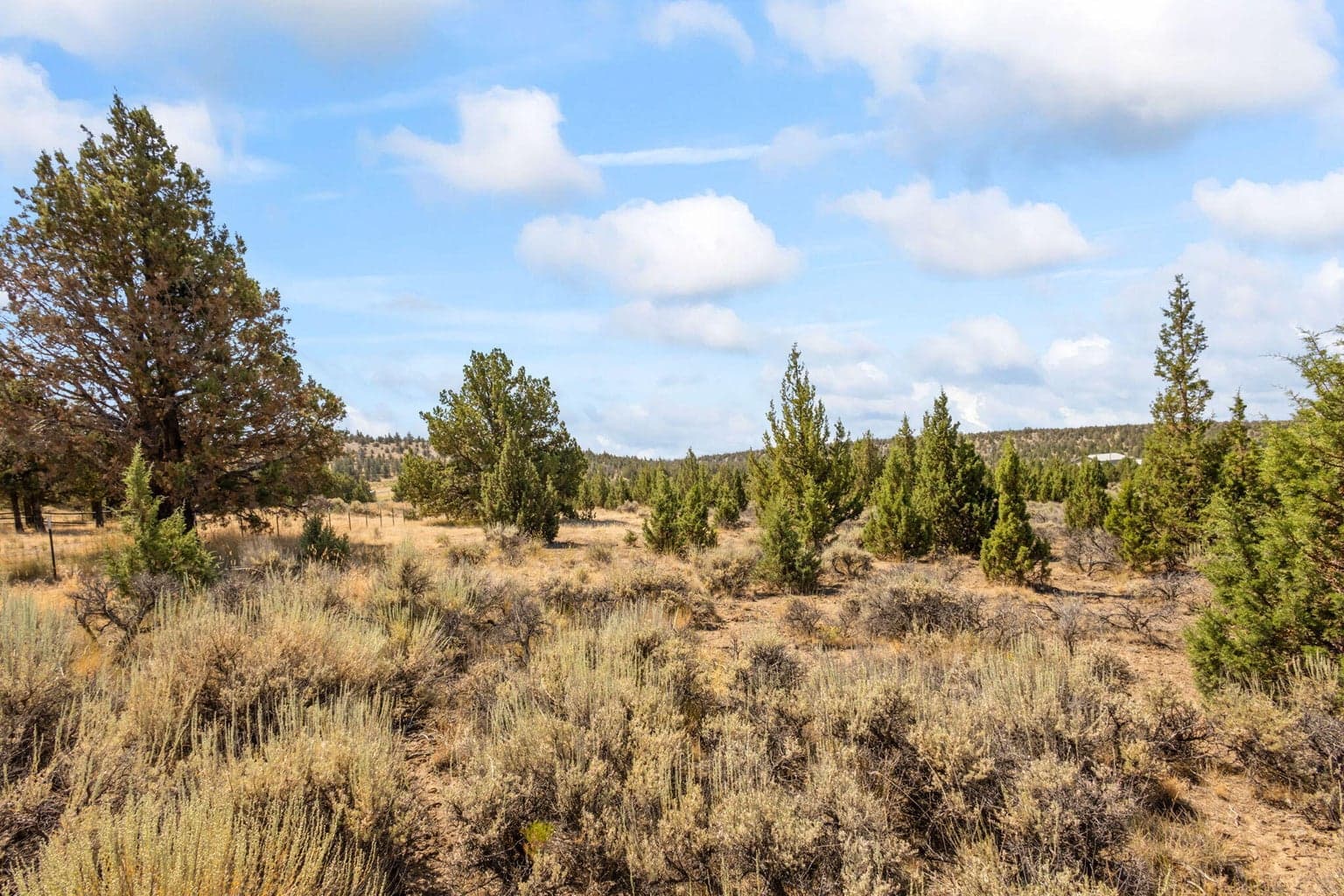 Photo of 600 SE Tacoma Road 9 of 38
