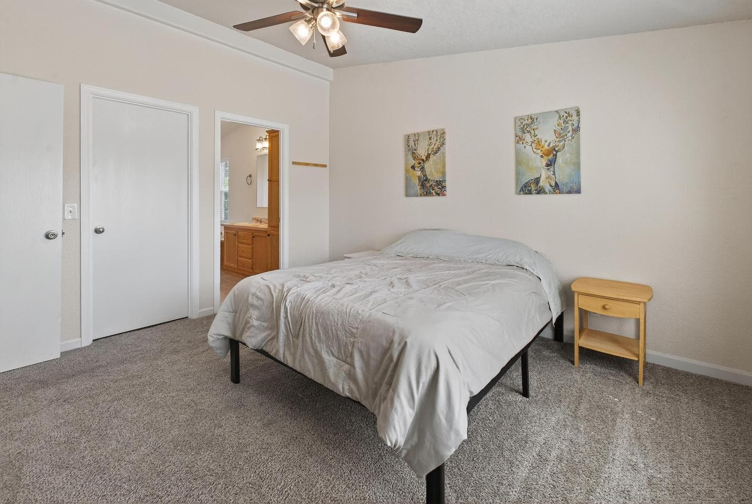 Generous walk-in closet (door in the middle) bathroom (door on the right)