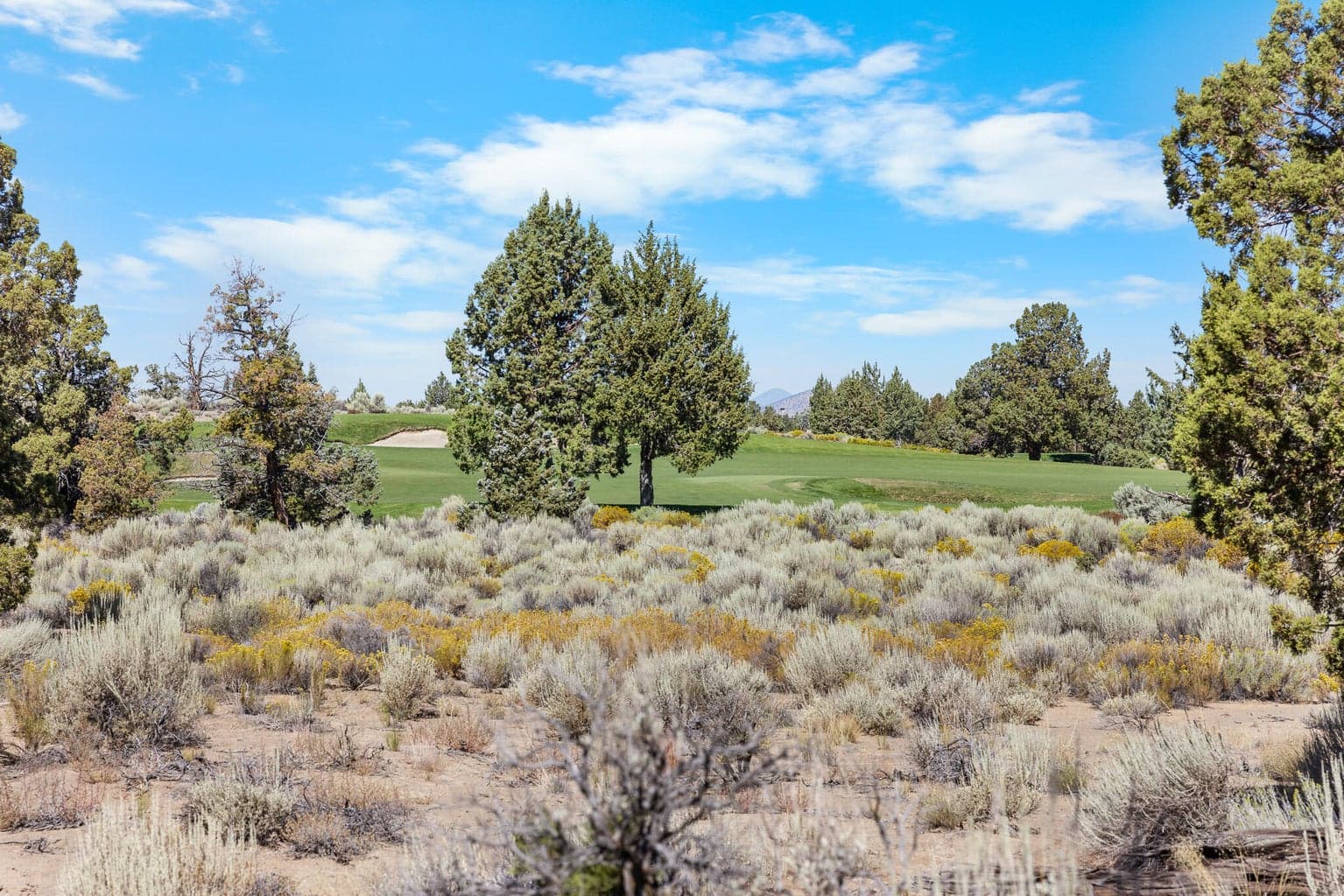 Photo of 65765 Pronghorn Estates 5 of 18