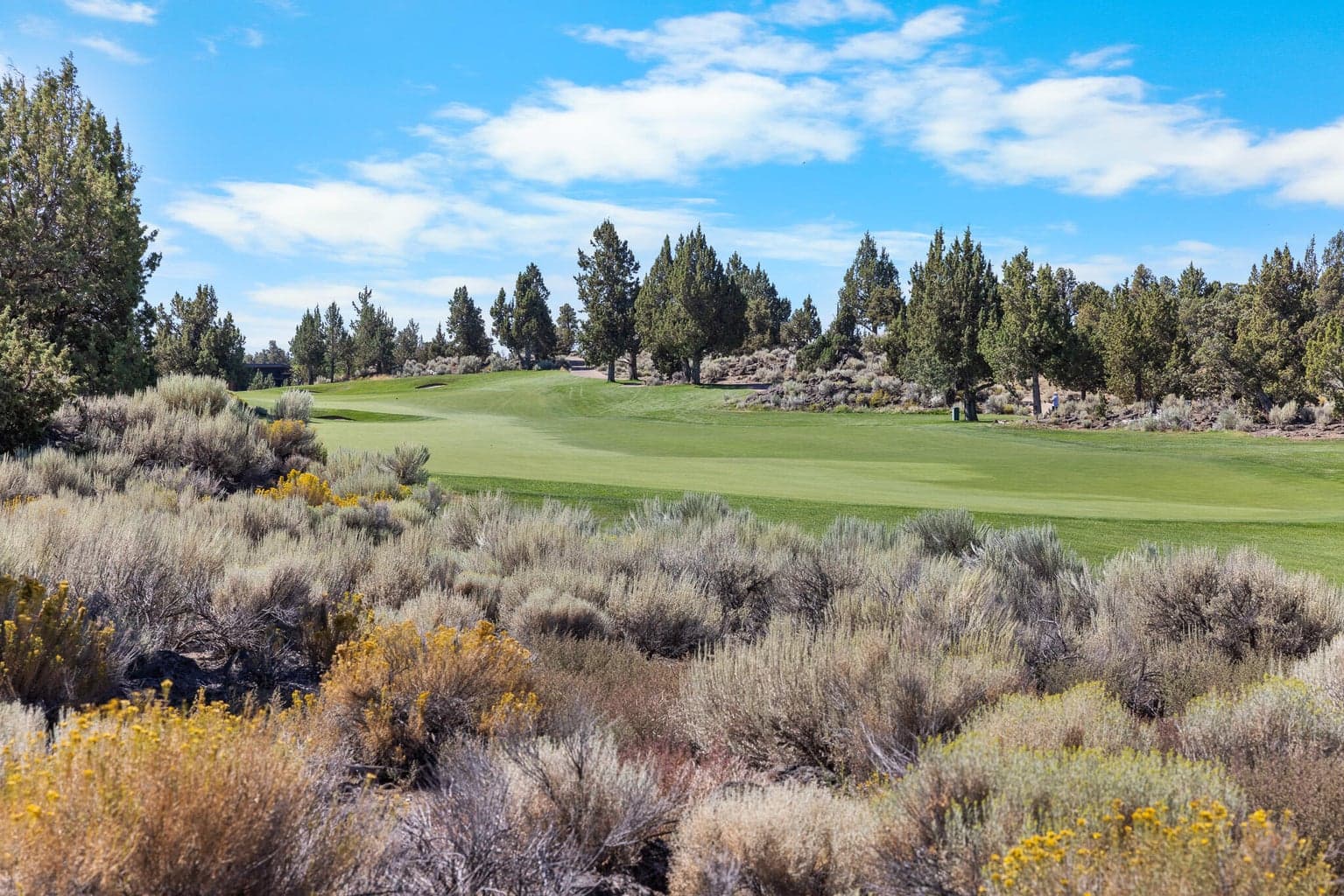 Photo of 65765 Pronghorn Estates 6 of 18