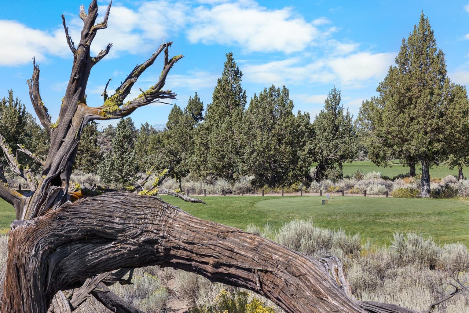 Photo of 65765 Pronghorn Estates 4 of 18