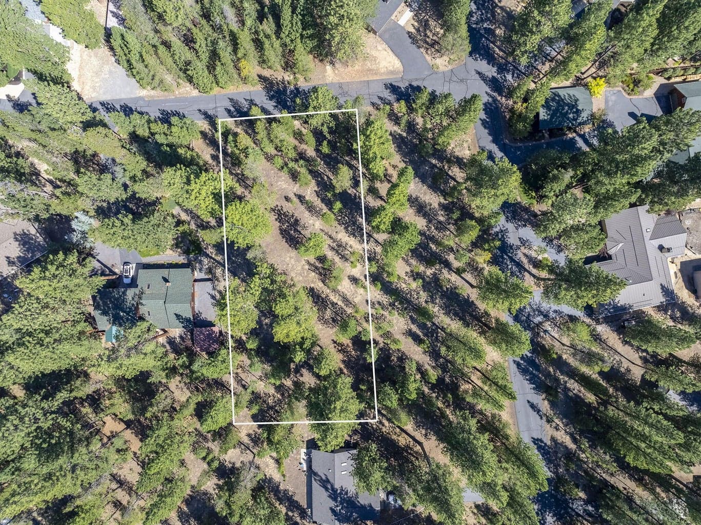 Photo of 14367 Brown Trout Way 6 of 20