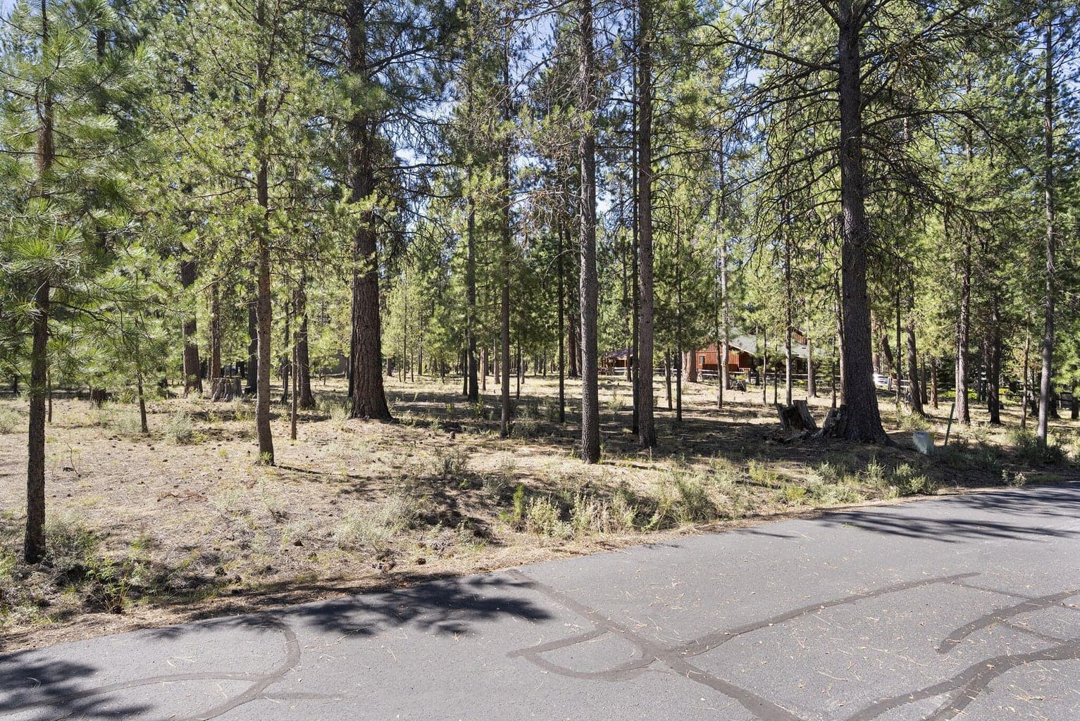 Photo of 14367 Brown Trout Way 13 of 20