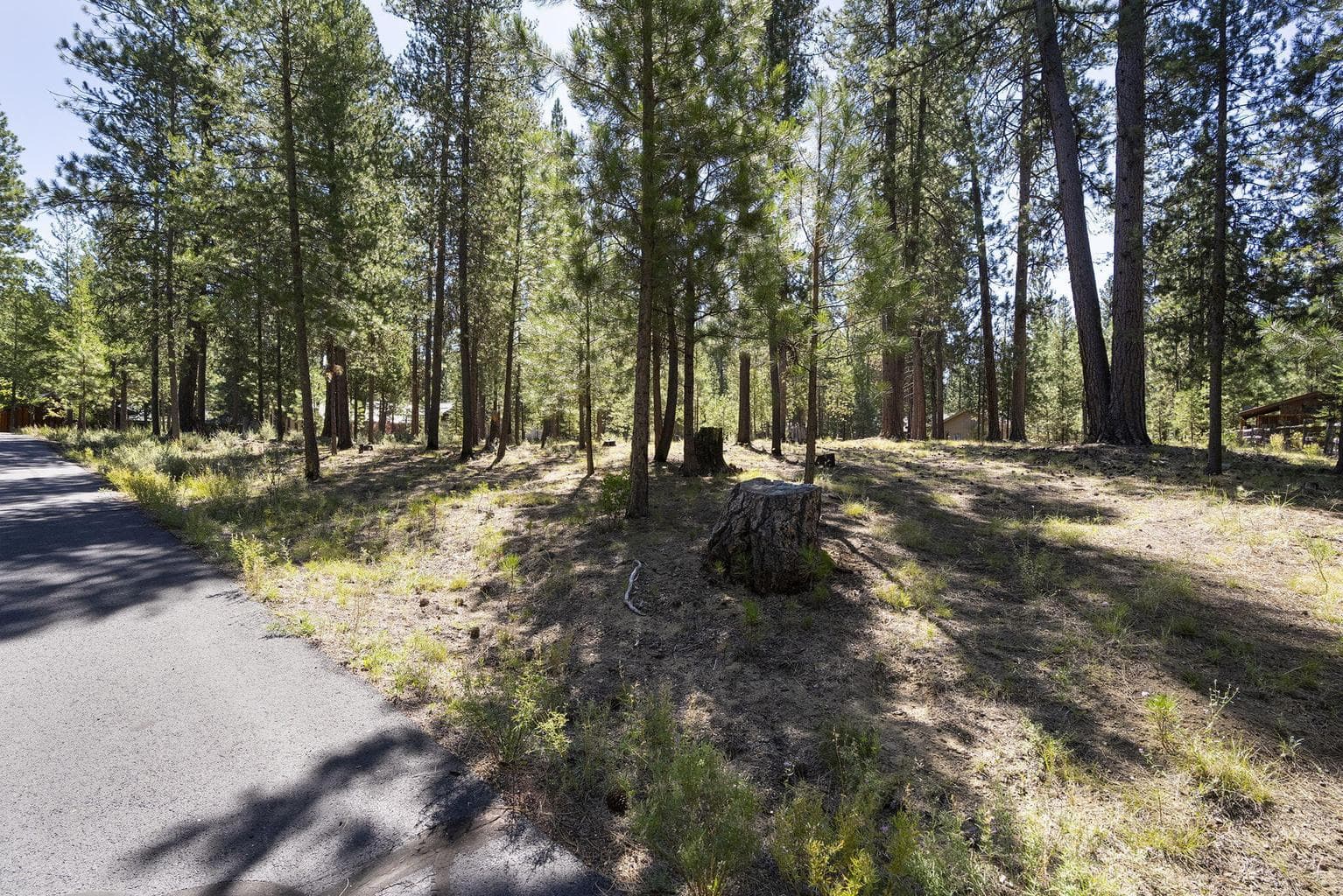 Photo of 14367 Brown Trout Way 15 of 20