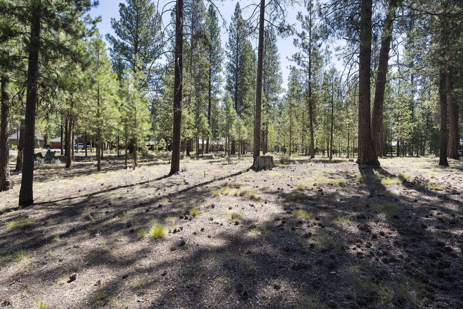 Photo of 14367 Brown Trout Way 16 of 20
