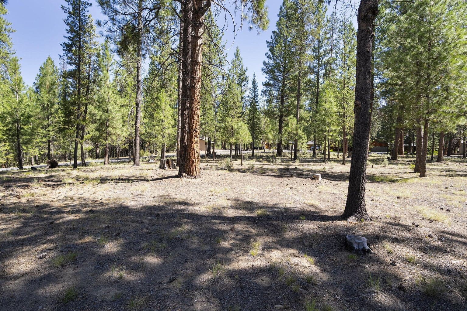 Photo of 14367 Brown Trout Way 17 of 20