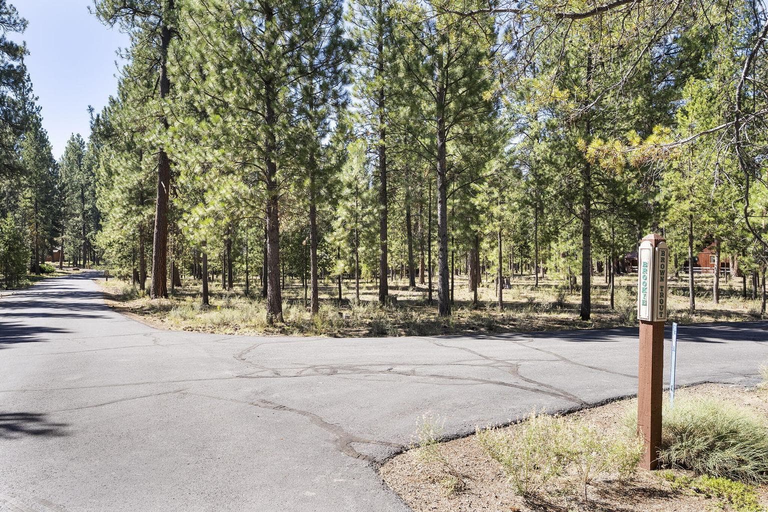 Photo of 14375 Brown Trout Way 16 of 20