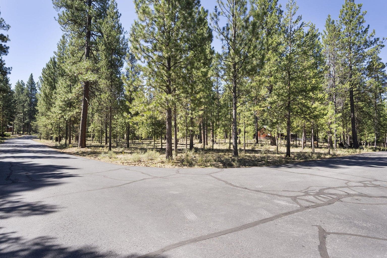 Photo of 14375 Brown Trout Way 17 of 20
