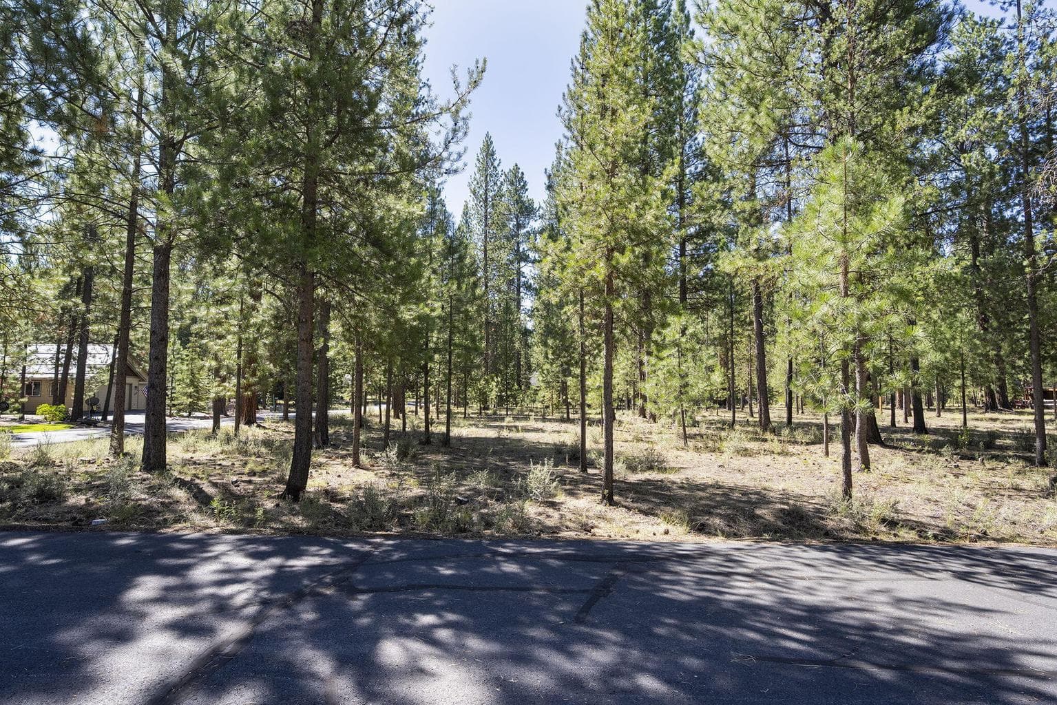 Photo of 14375 Brown Trout Way 19 of 20