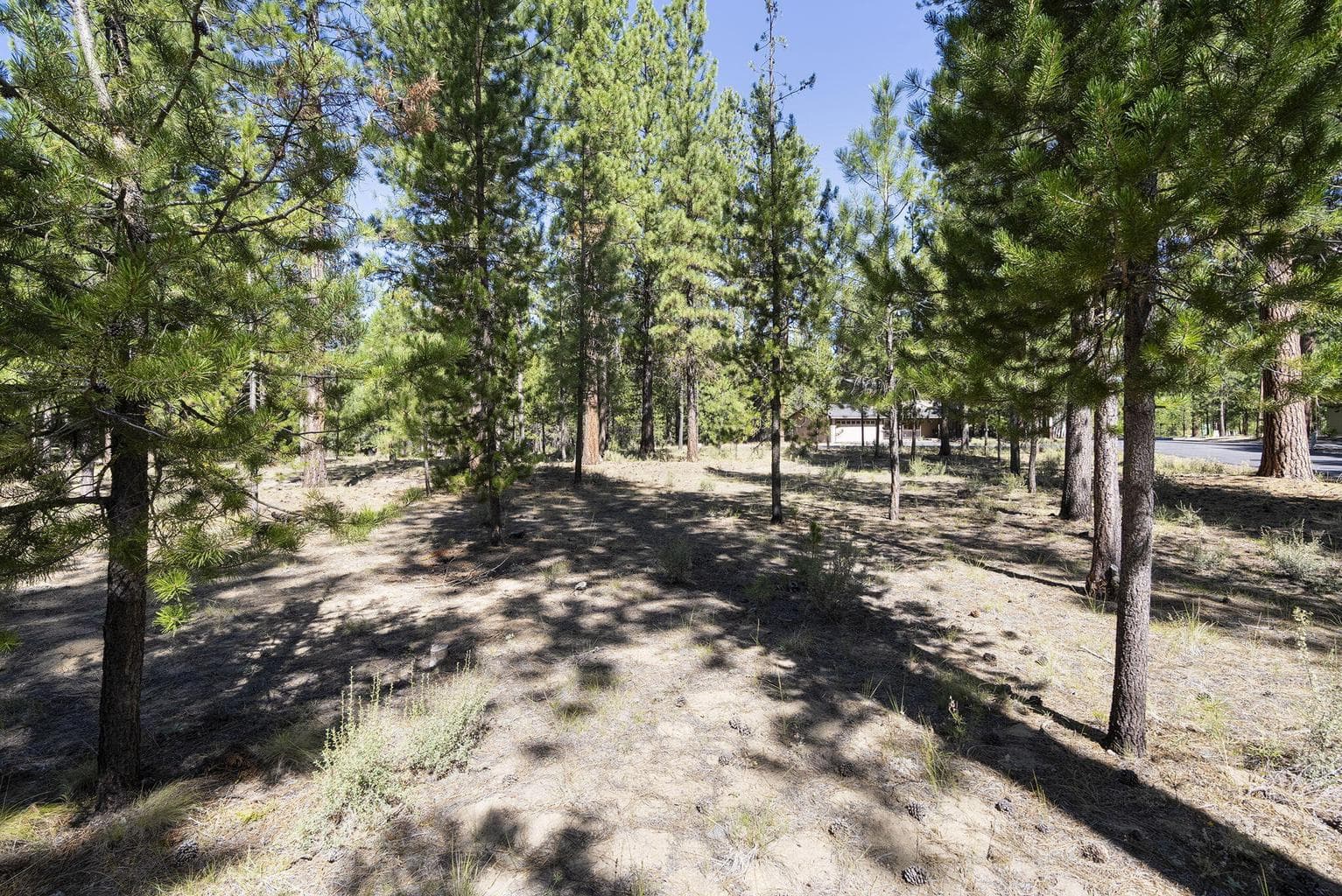 Photo of 14375 Brown Trout Way 20 of 20