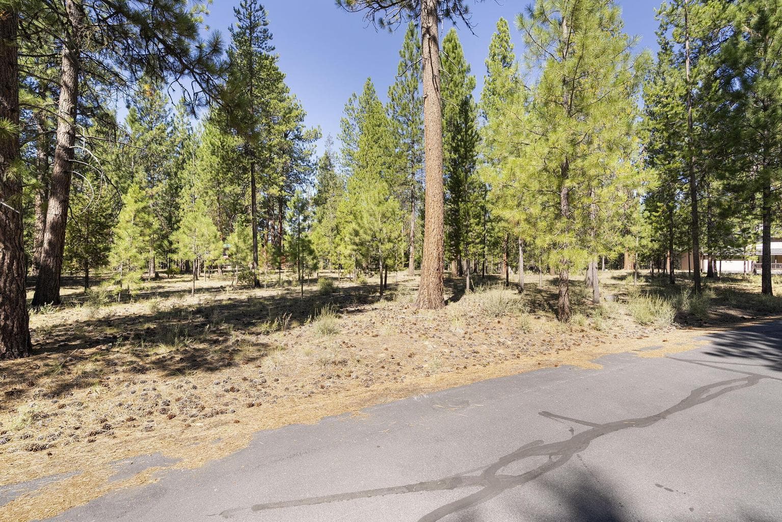 Photo of 14375 Brown Trout Way 18 of 20
