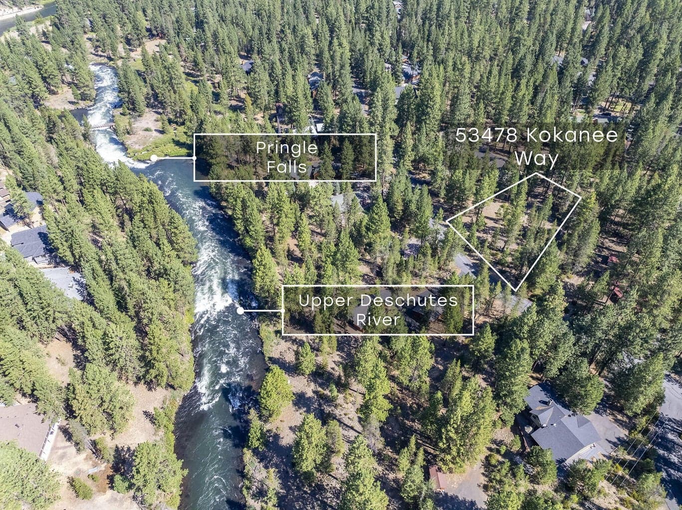 53478 Kokanee