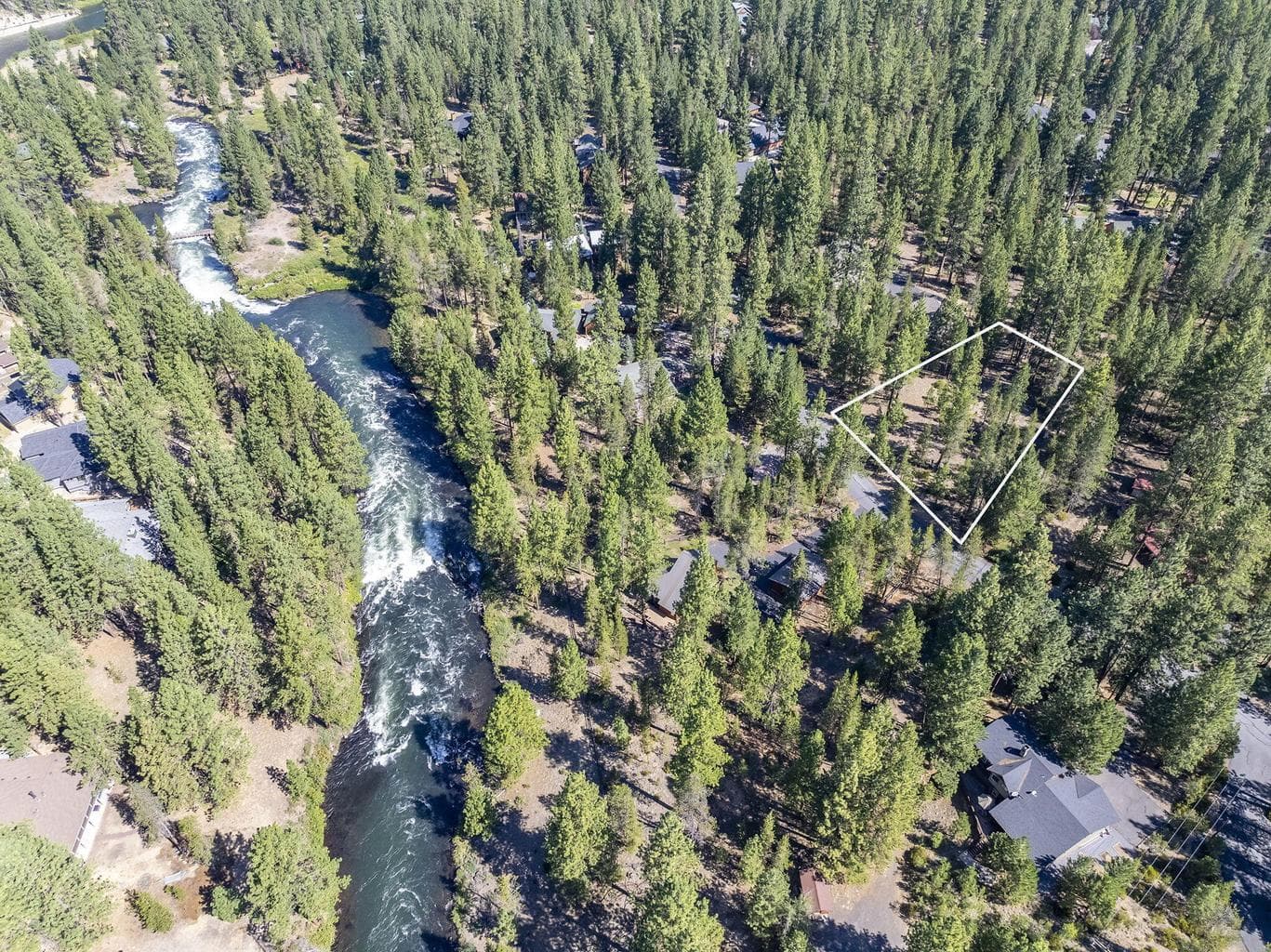 Photo of 53478 Kokanee 2 of 23