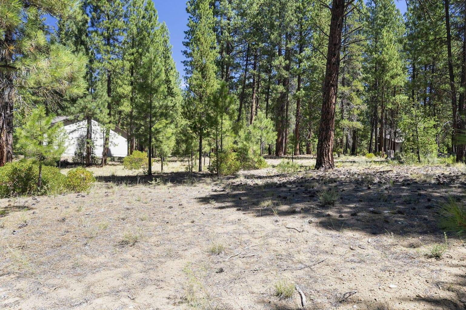 Photo of 53478 Kokanee Way 18 of 23