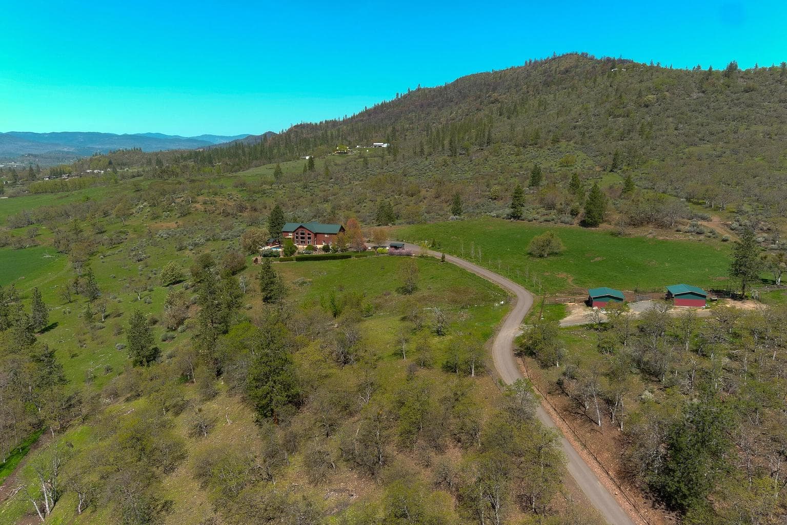Photo of 1881 Brophy 3 of 130
