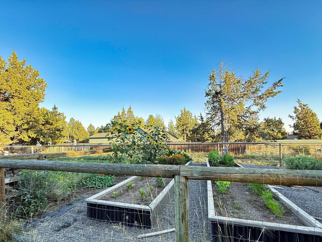 Photo of 20851 89th Street 34 of 39
