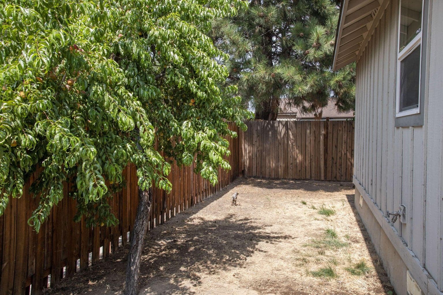 Photo of 2870 NE Jackdaw Drive 16 of 19