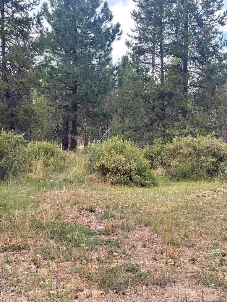 Photo of 16700 Gross Drive 17 of 23