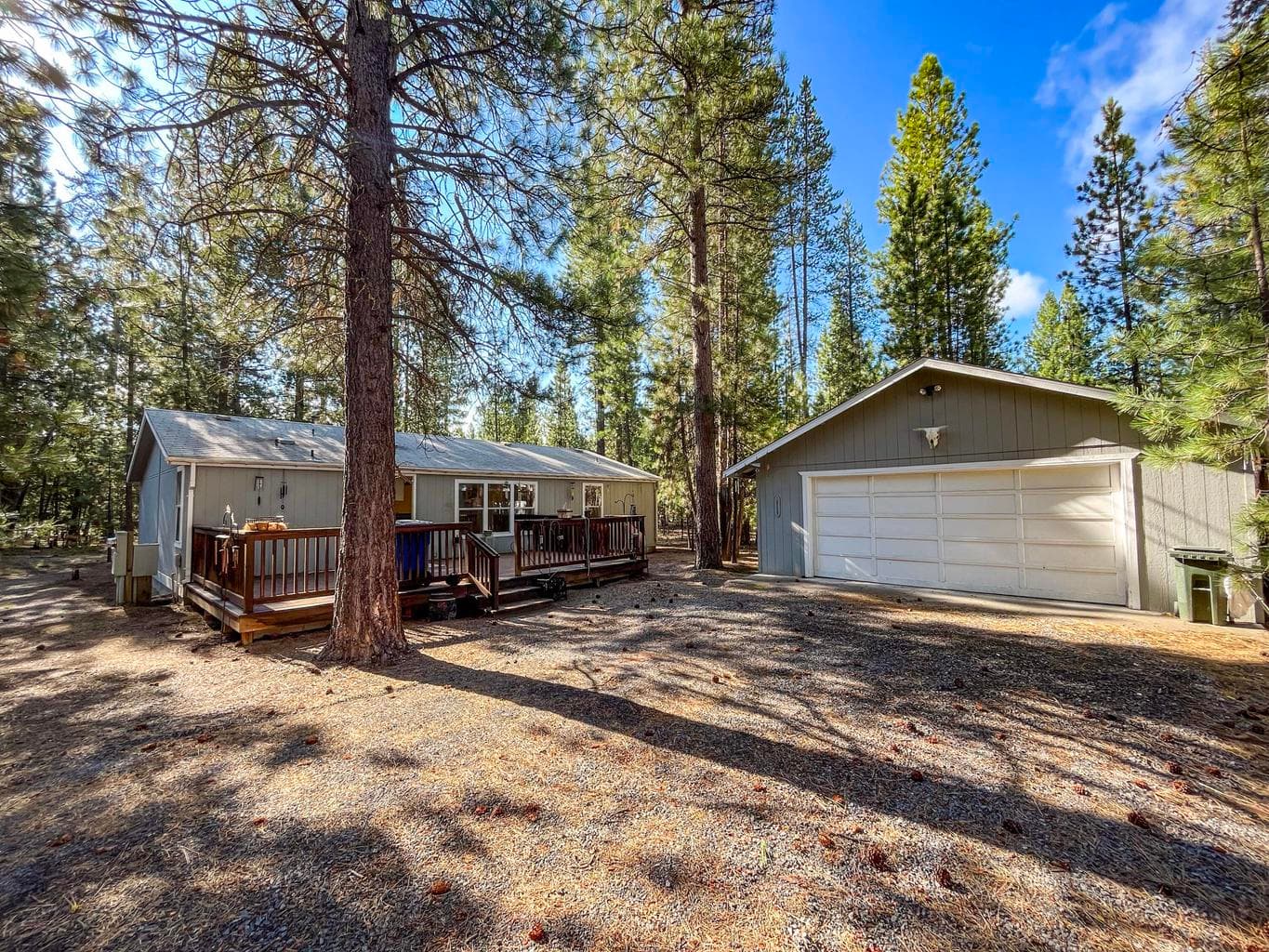 Photo of 51873 Subal Pine 2 of 21