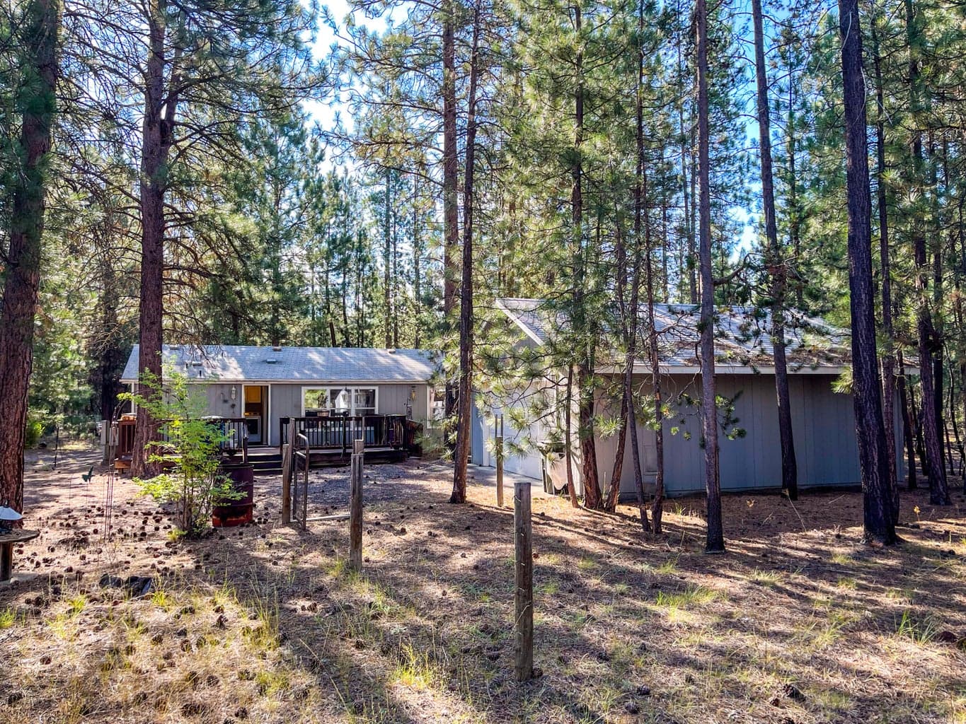 Photo of 51873 Subal Pine 5 of 21