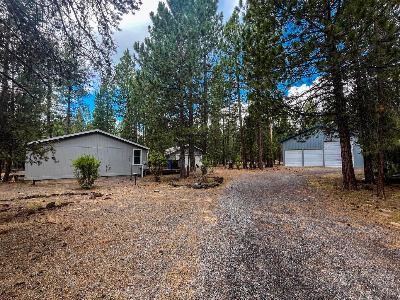 Photo of 51873 Subal Pine 6 of 21
