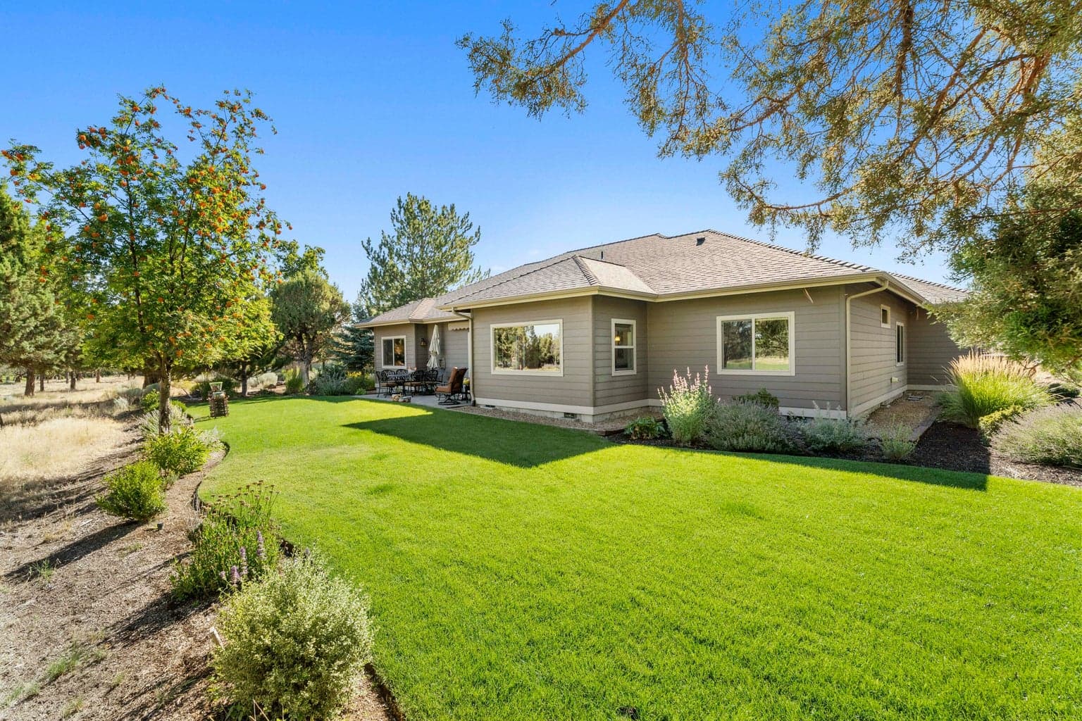Photo of 889 Willet 5 of 33