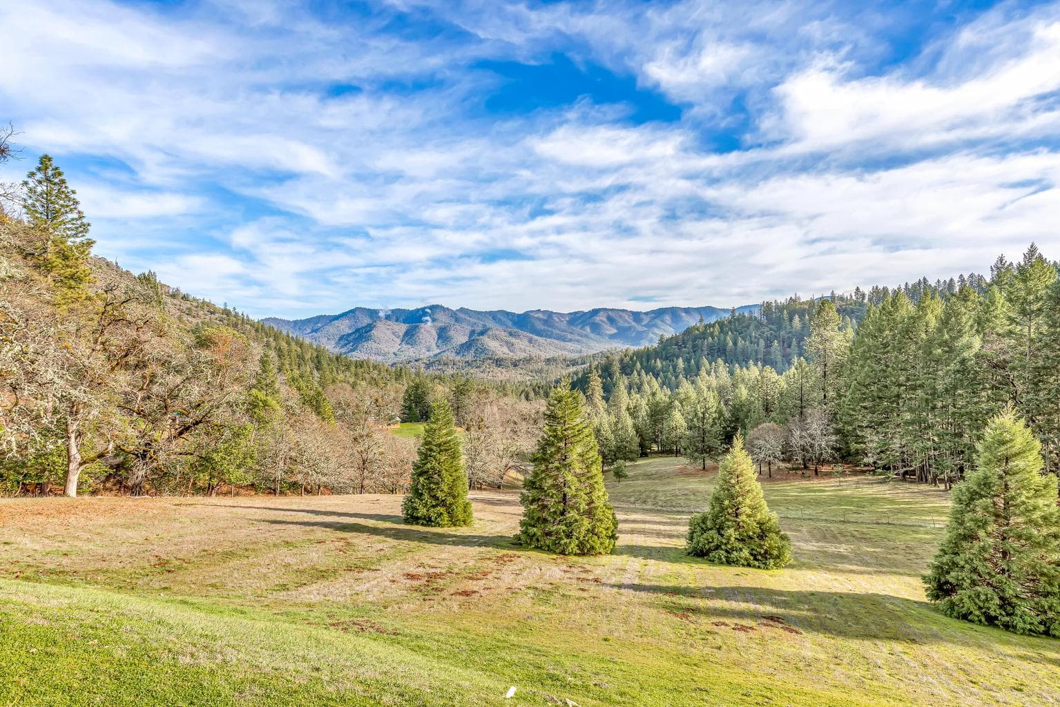 Photo of 2742 Birdseye Creek 3 of 44