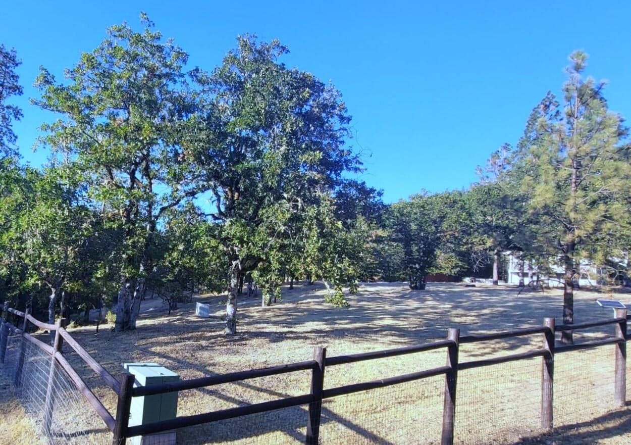 Photo of 484 Shadow Hills 4 of 72