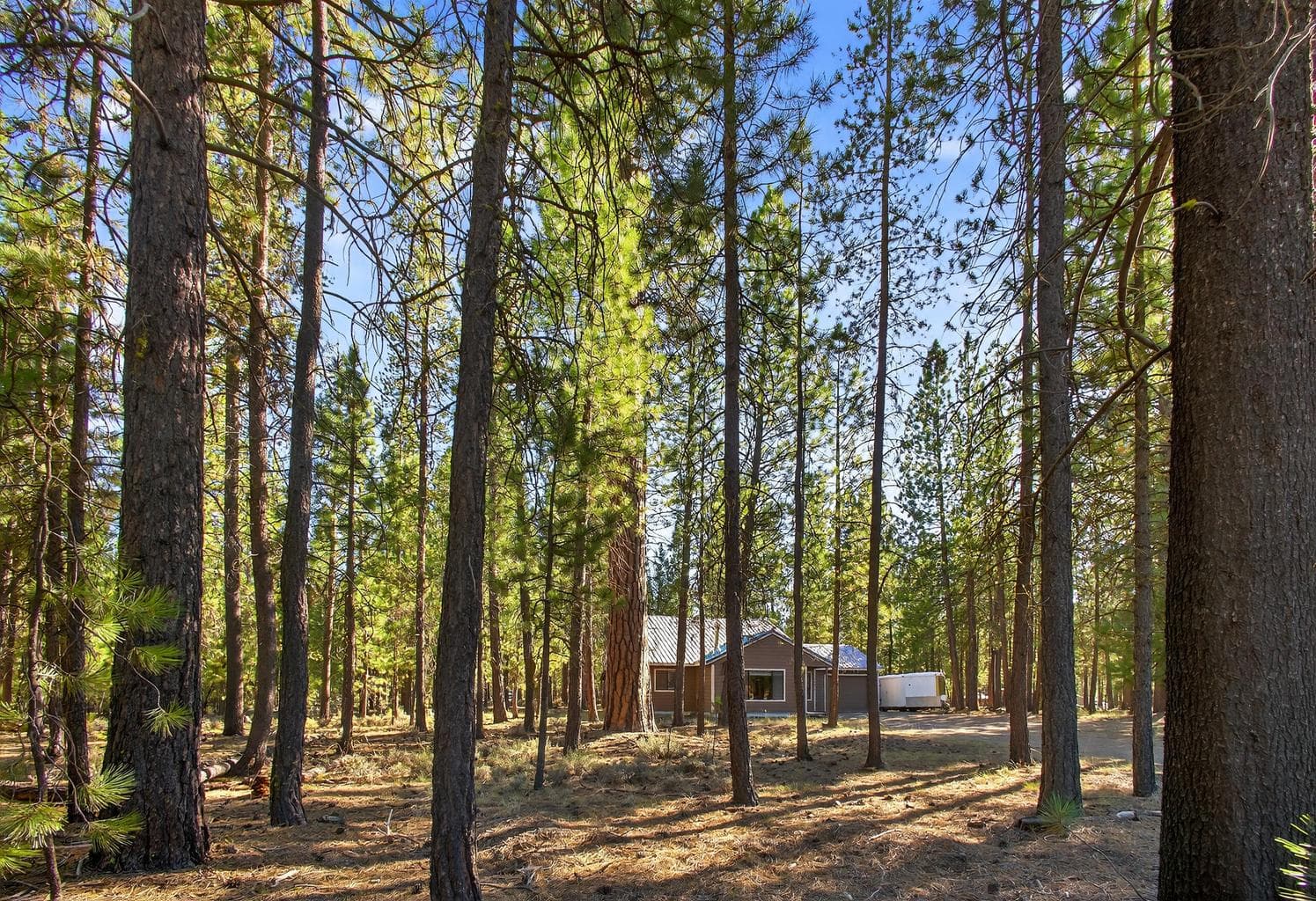 Photo of 14675 White Pine Way 3 of 30