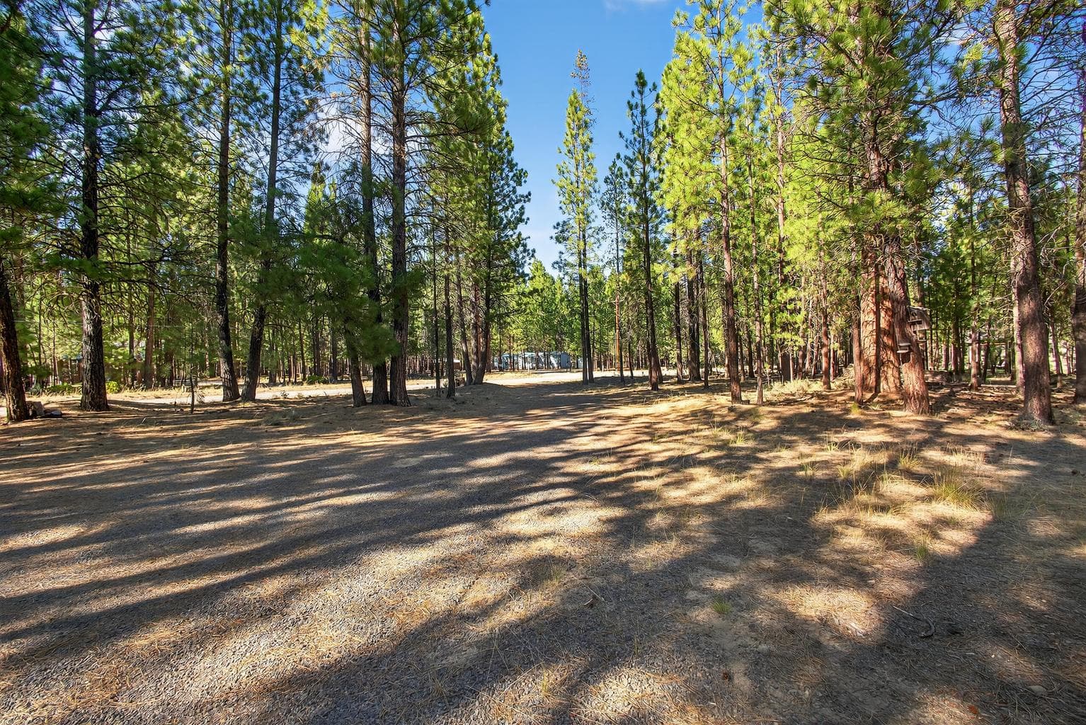 Circular driveway in the front