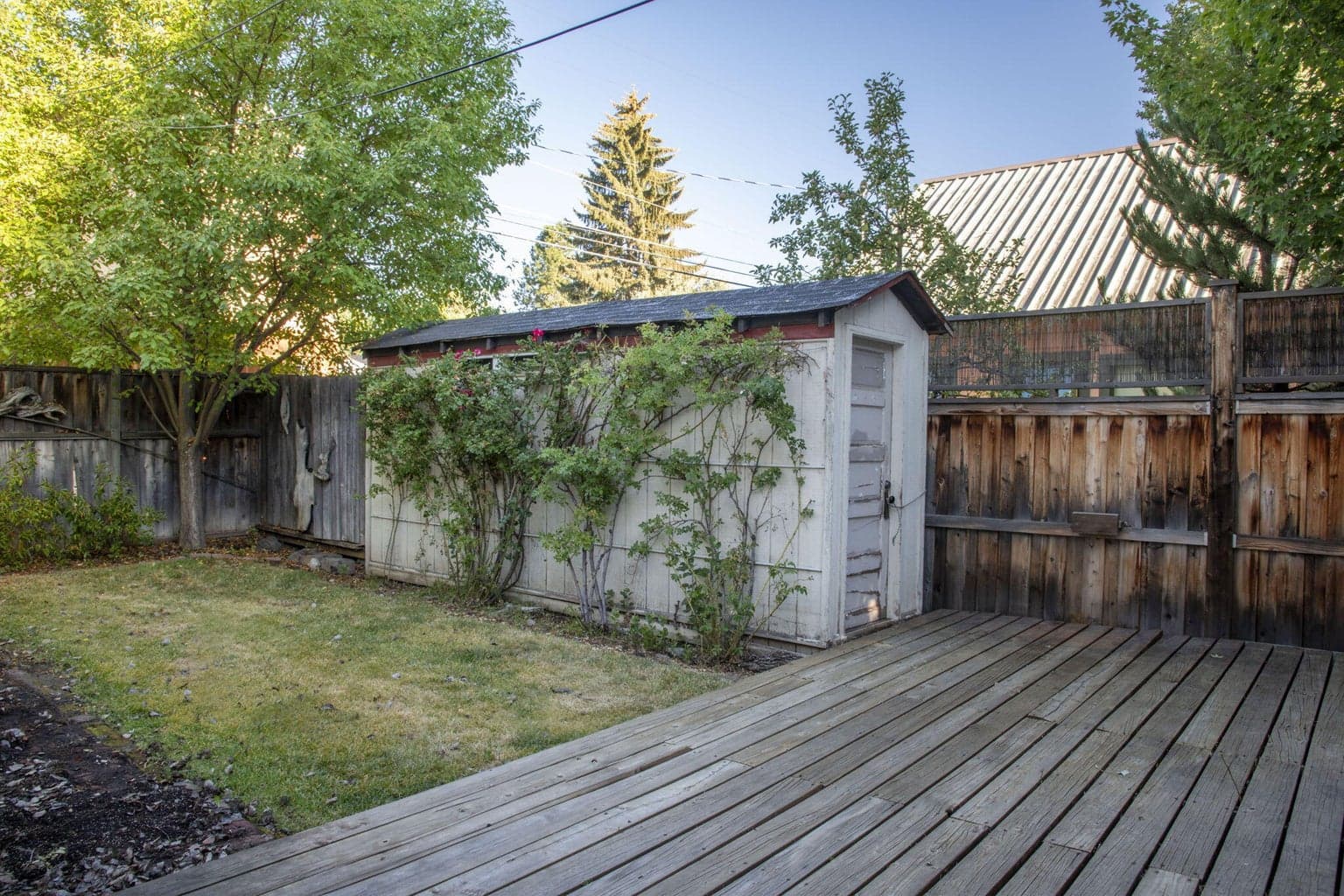 Backyard