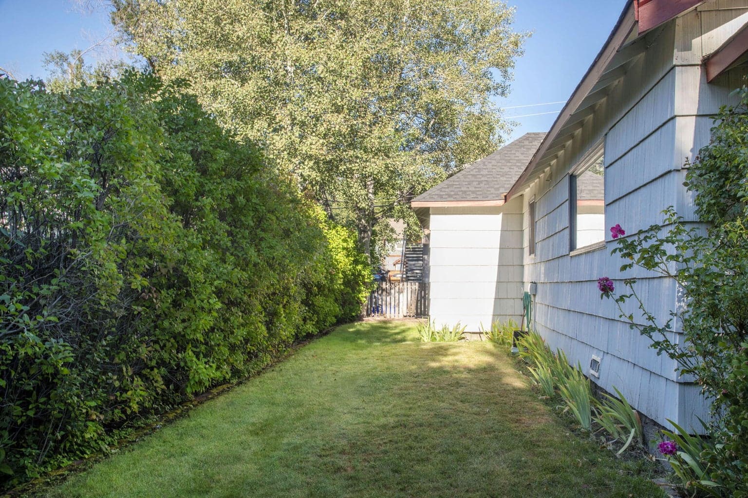 Side yard