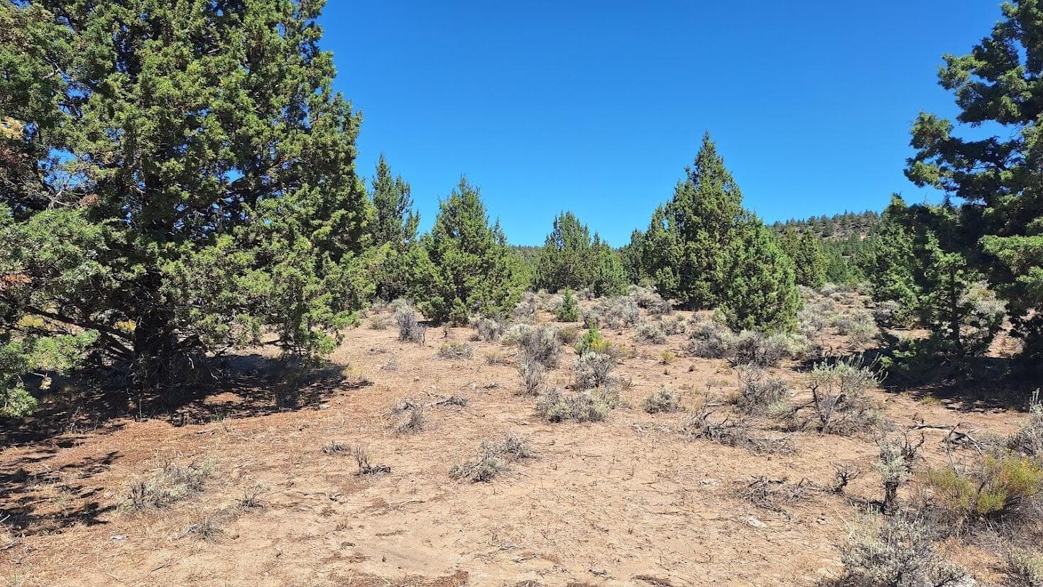 400 GoldenView Ranch
