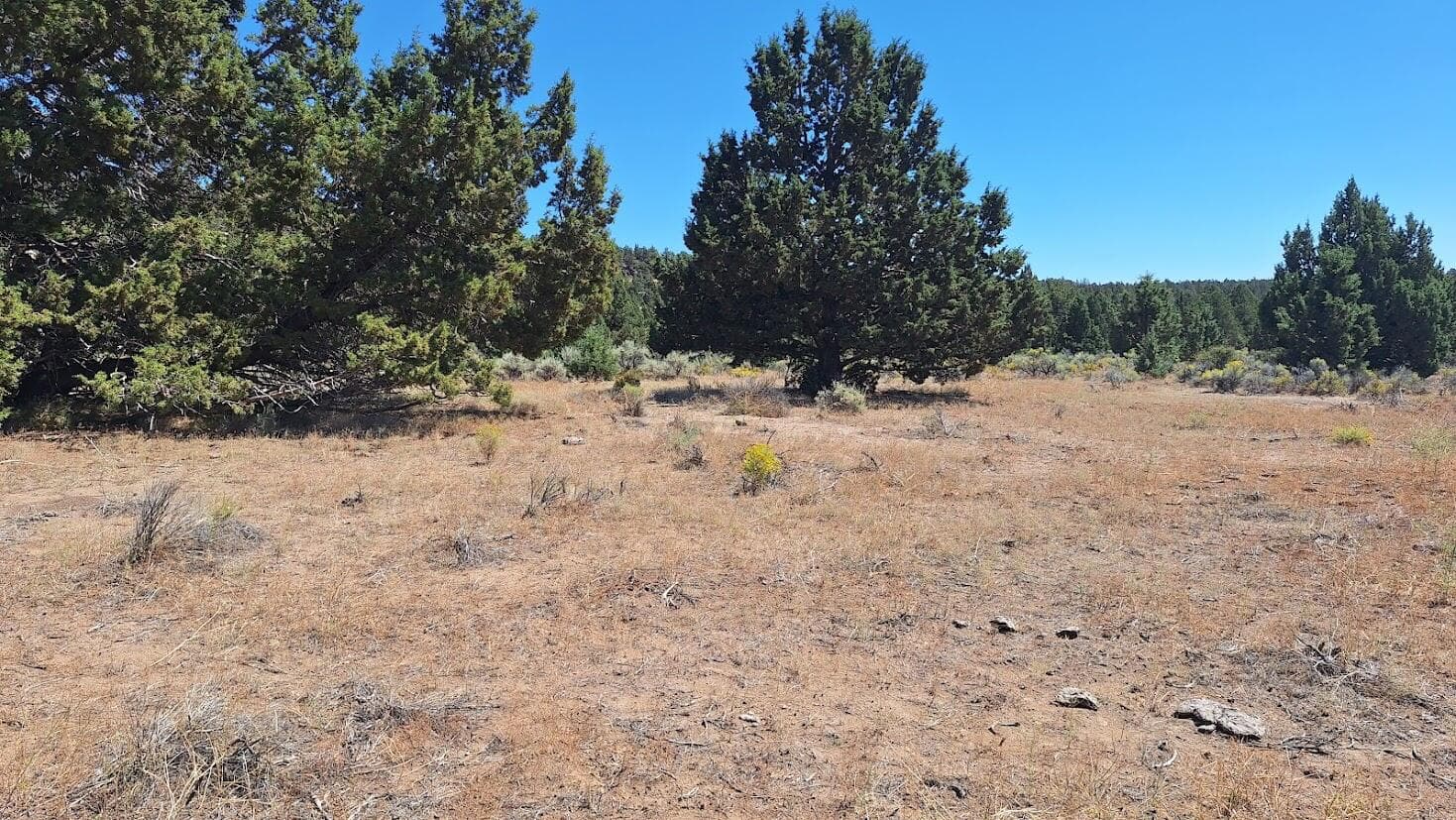 Photo of 400 GoldenView Ranch 4 of 8