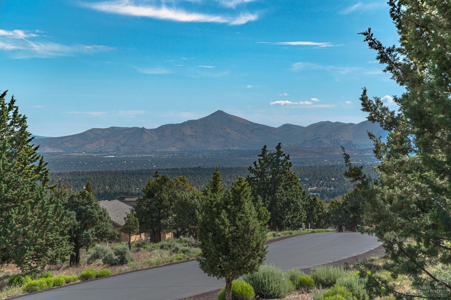 Photo of 10811 Ironstone Court 7 of 64