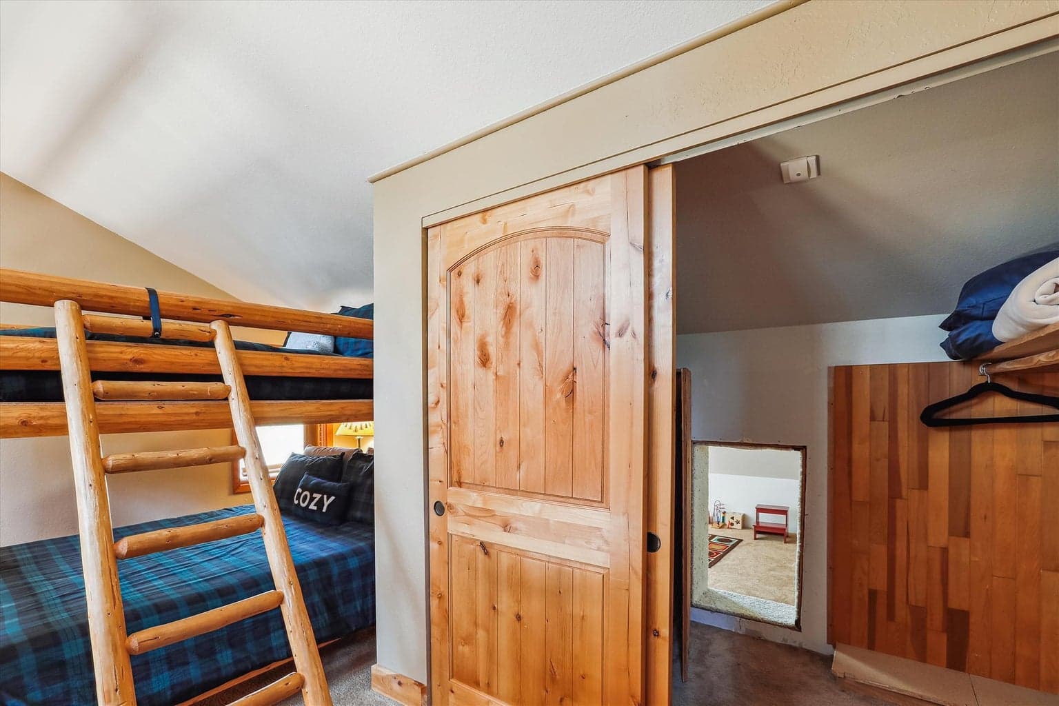 Kids secret play area (room) through the closet.