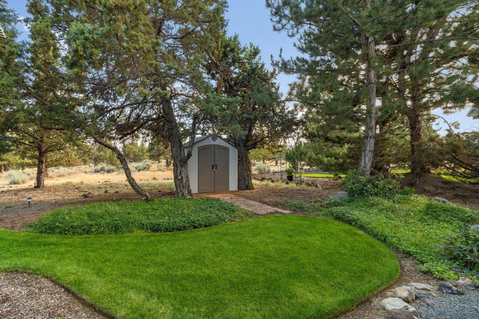 back yard