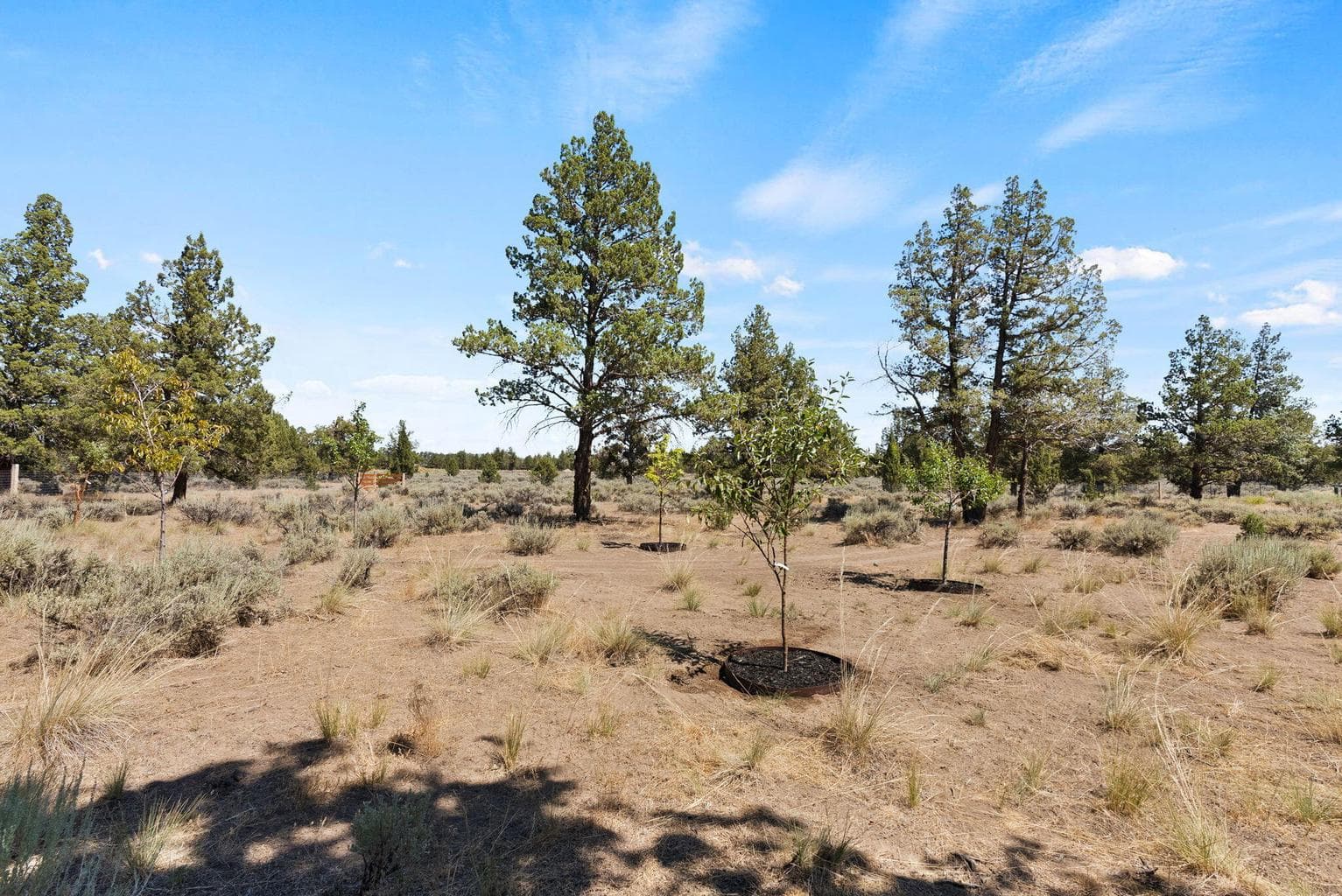 Photo of 6623 NW Tetherow Road 61 of 79