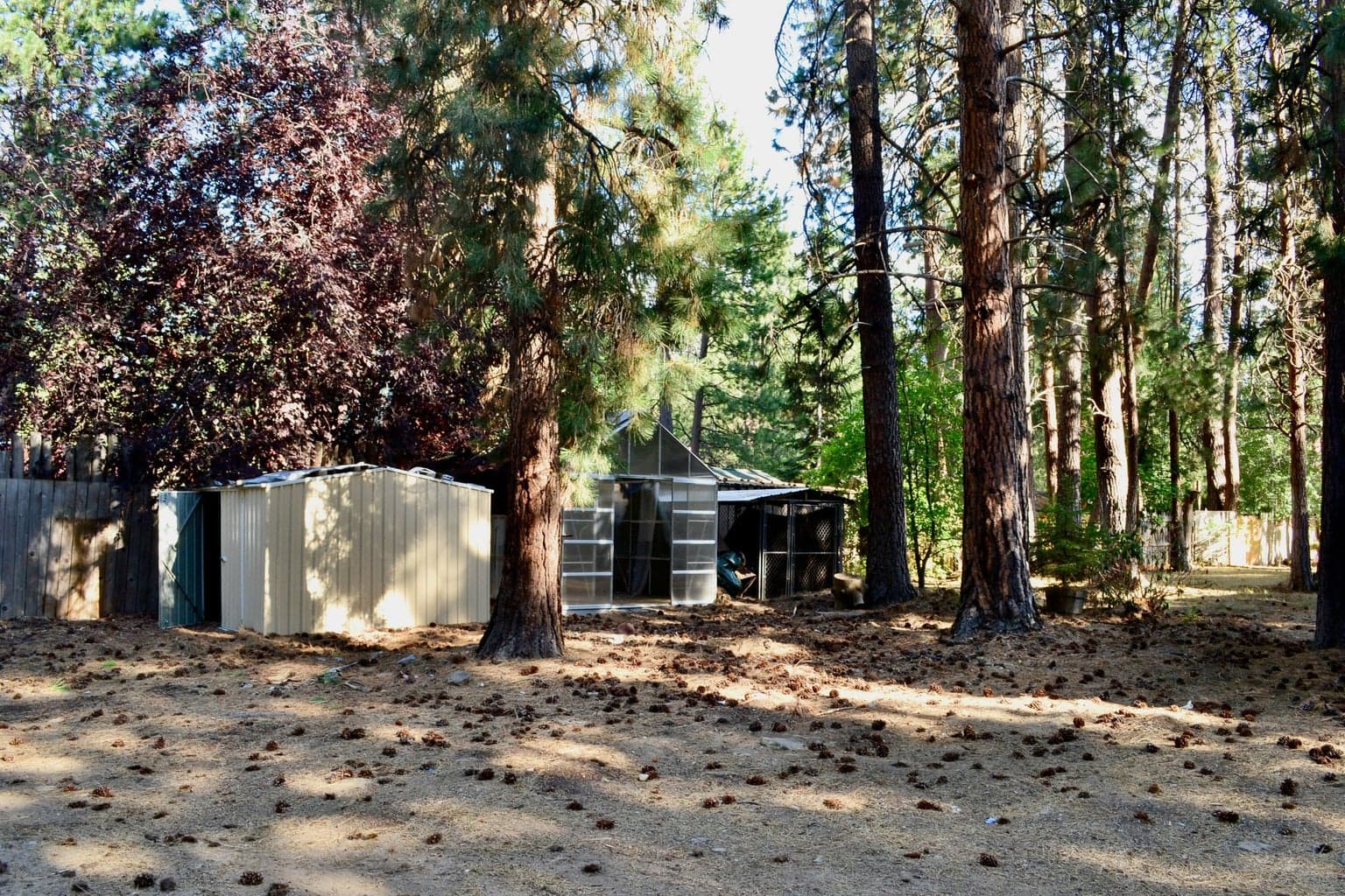 Photo of 19124 River Woods Drive 12 of 41