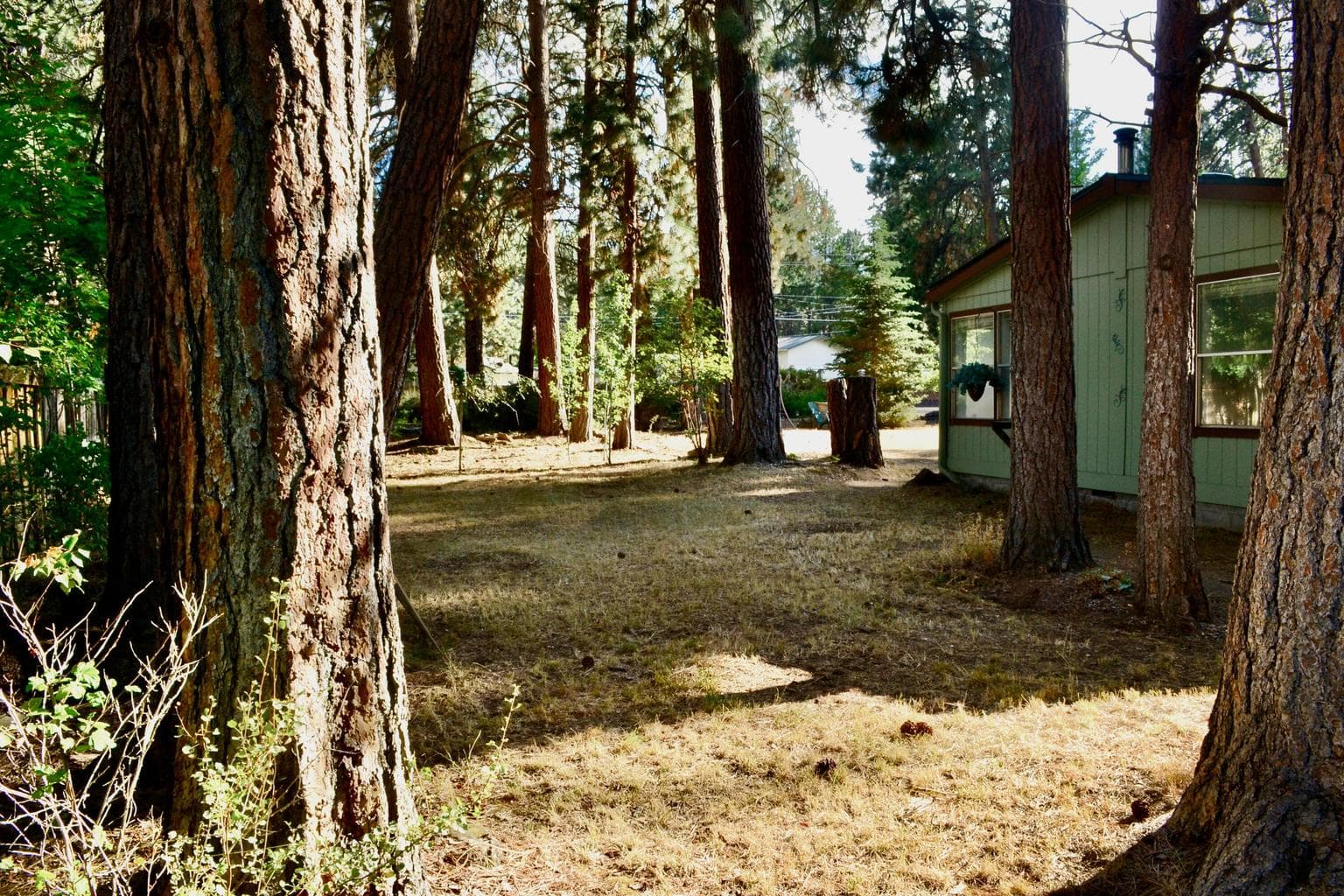 Photo of 19124 River Woods Drive 10 of 41