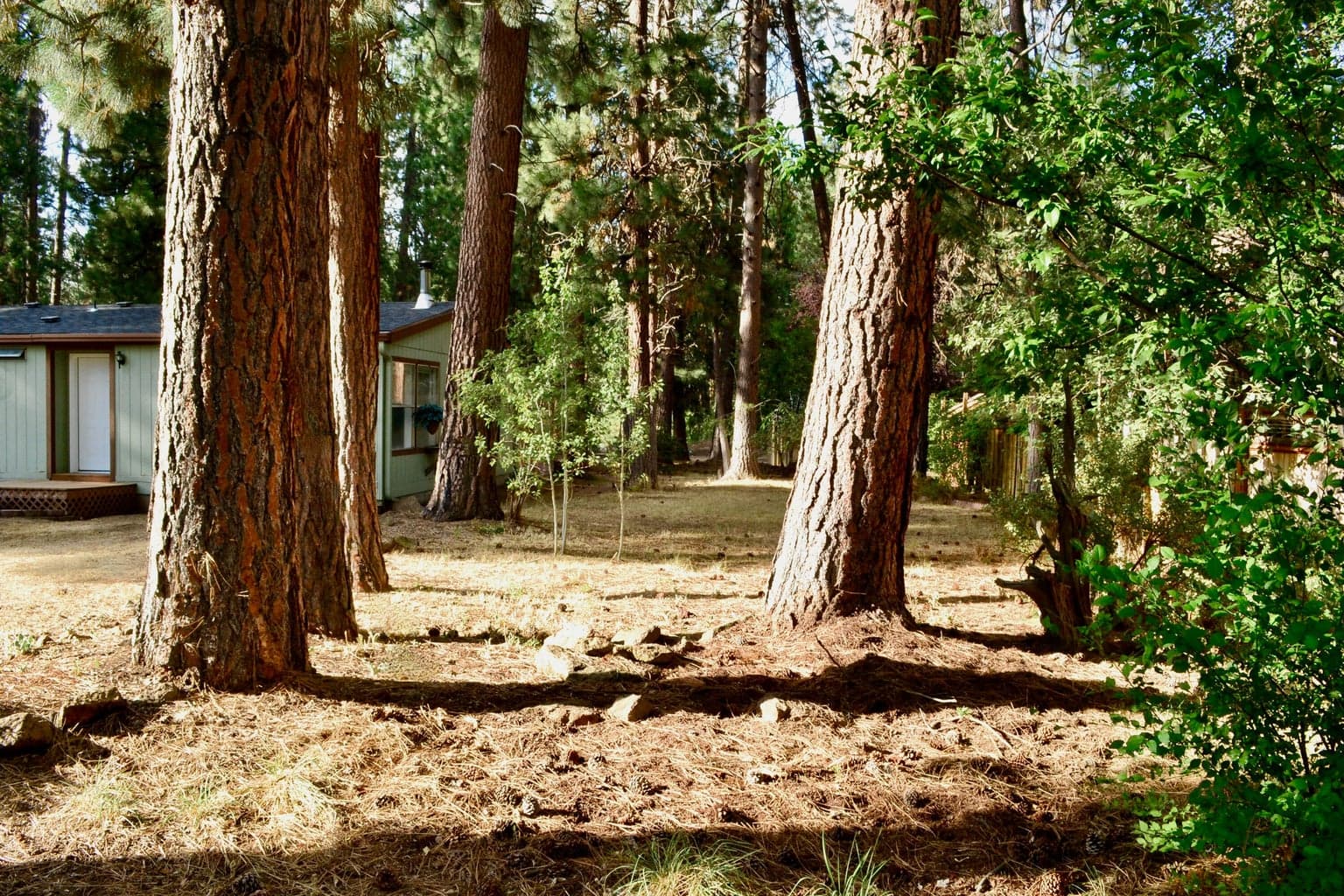 Photo of 19124 River Woods Drive 15 of 41