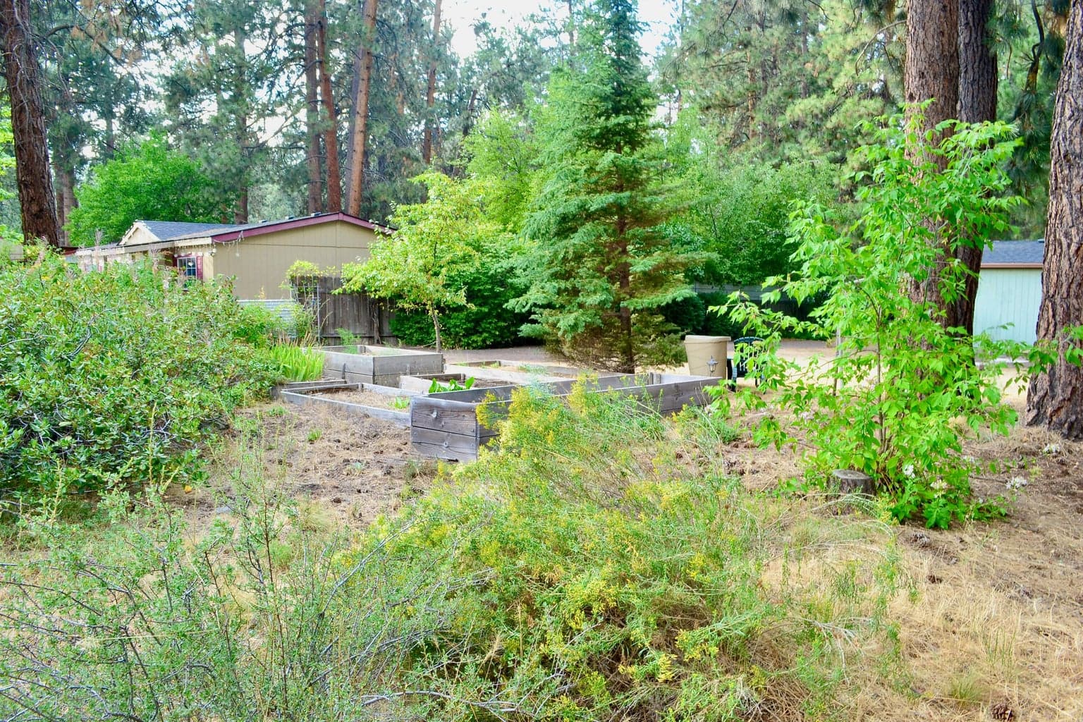 Photo of 19124 River Woods Drive 17 of 41