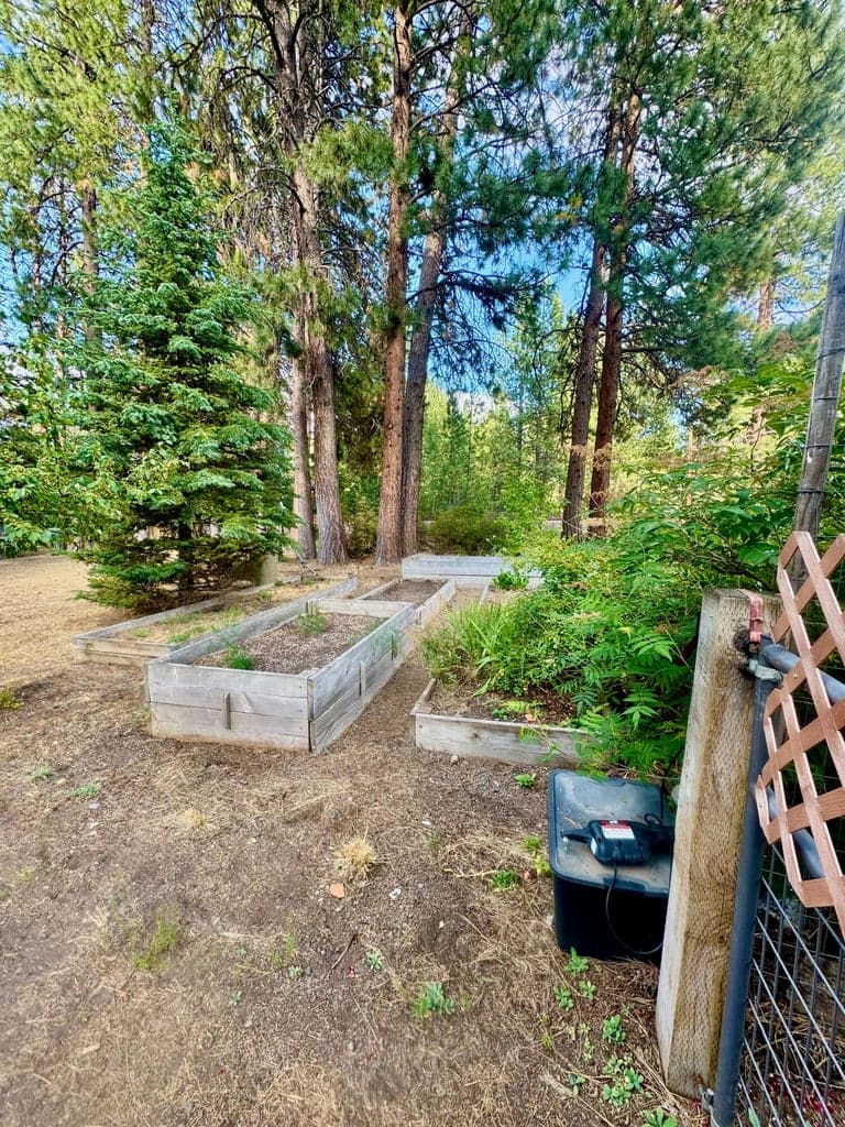 Photo of 19124 River Woods Drive 19 of 41