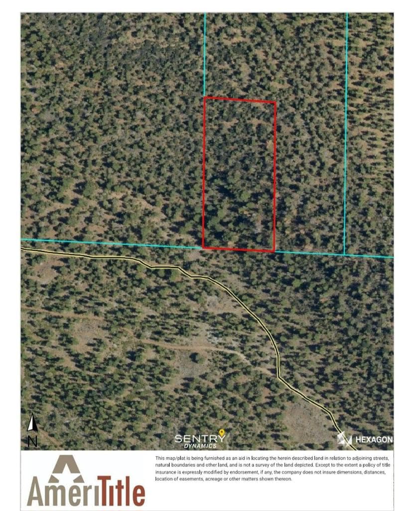 Bear Valley