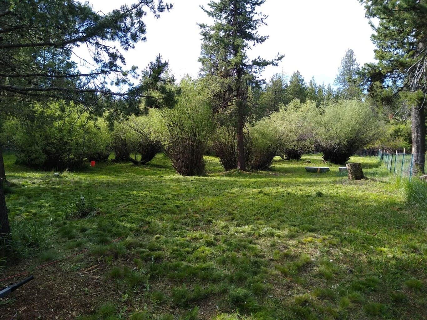 Photo of 15478 Cascade 4 of 13