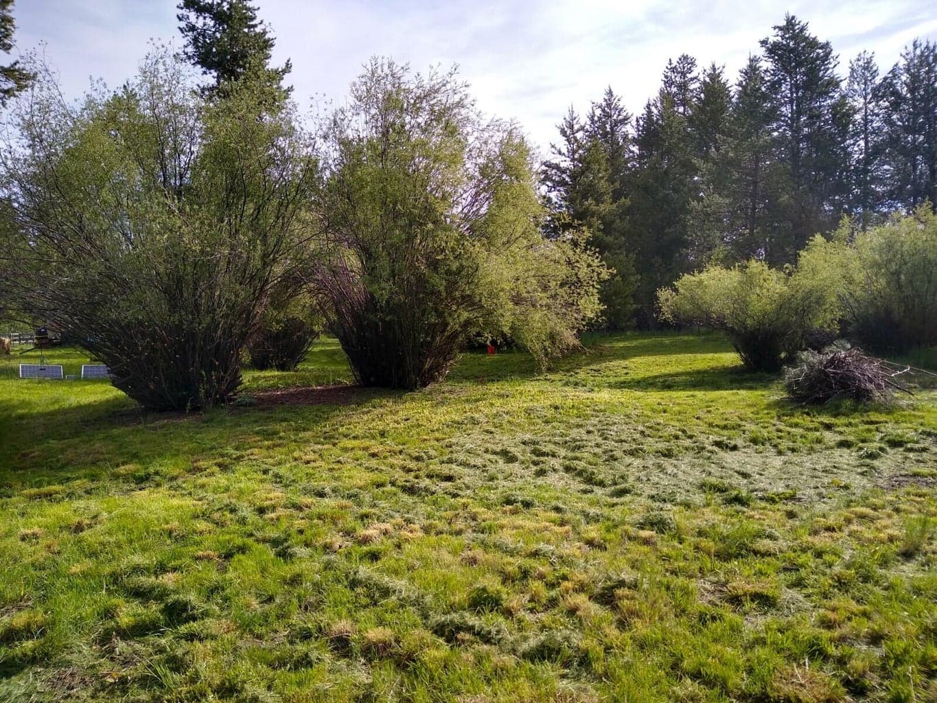 Photo of 15478 Cascade 5 of 13